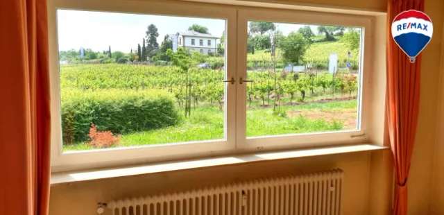 4-Zimmer Wohnung mit Balkon und Weinbergsblick in Deidesheim