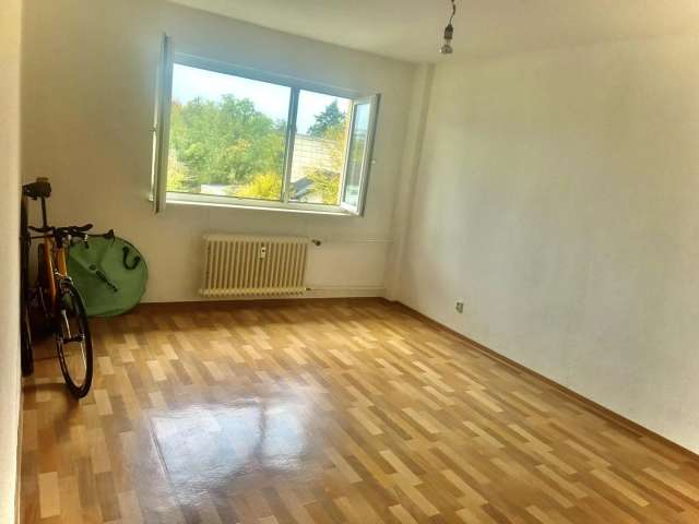 2 Zimmer Wohnung, Balkon, Keller und Stellplatz Rüsselsheim