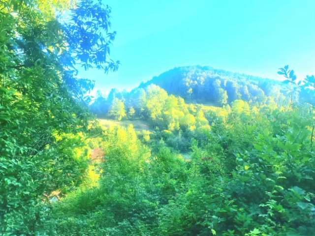 Freizeitgrundstück am Ortsrand - Südhanglage - mit herrlicher Aussicht!