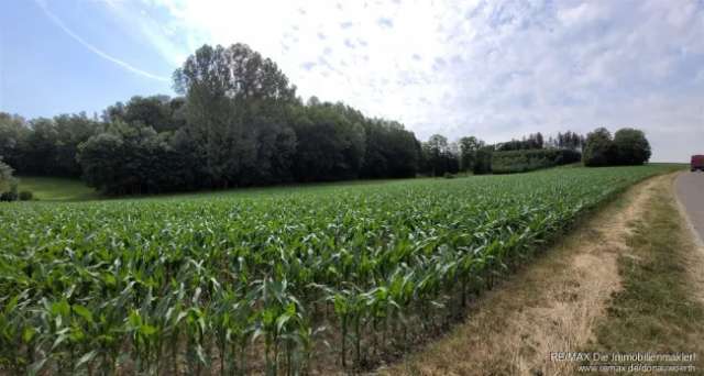 Großzügig bebaubares Grundstück mit Panoramablick