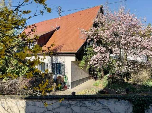 Winzerhaus mit hochwertiger Ausstattung und Ausbaureserve