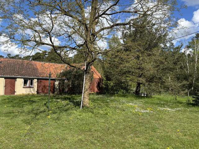 Ex-Büdnerei umgebaut zu Wohnhaus mit Garten und Waldanteil