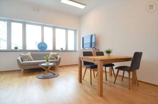 Exclusives 1 Zimmer-Apartment in TOP Lage von Ulm