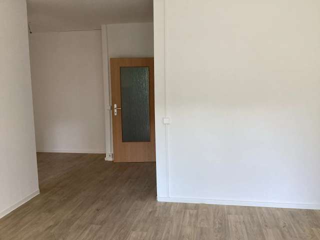 Herrliche 3-Raum-Wohnung in der Straße Usti nad Labem 247